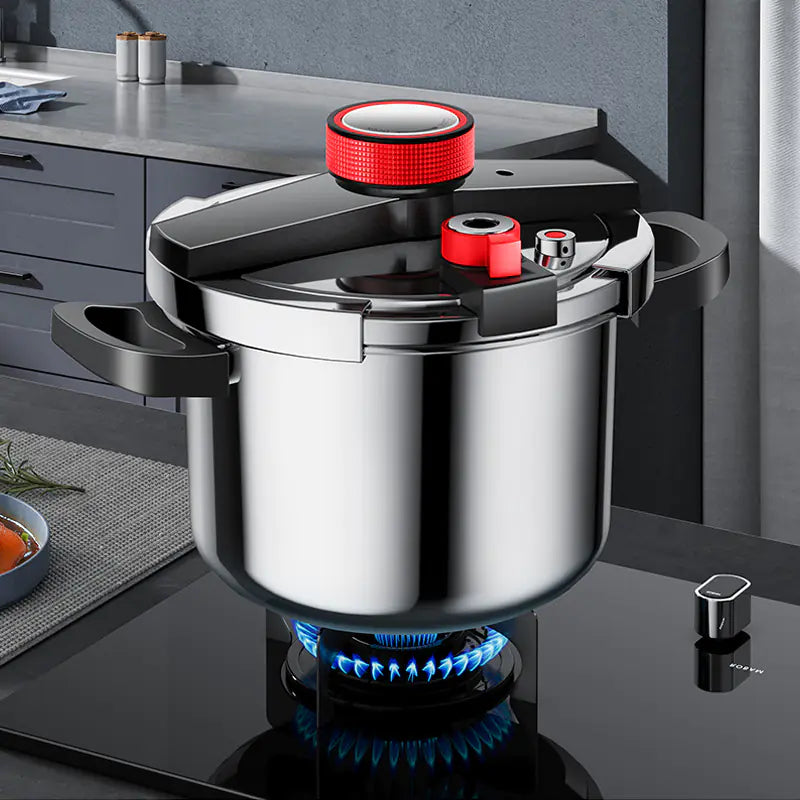 AEU 6L Stainless Steel Pressure Cooker for Home Use